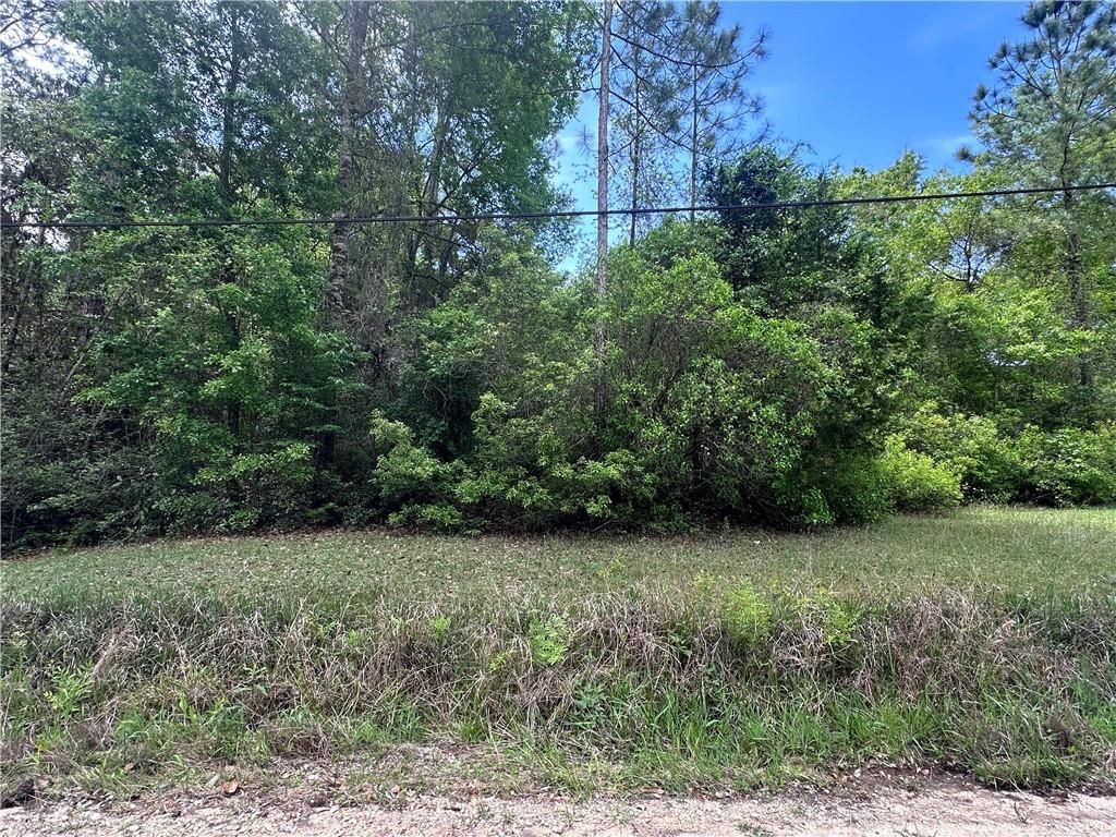 0 Bass Drive, Theodore, AL 36582