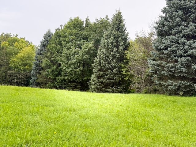 510 Enclave Drive, Cary, IL 60013