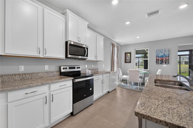 10675 TALLY FAWN LOOP, San Antonio, FL 33576