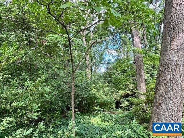 1426 DAIRY RD, Charlottesville, VA 22903