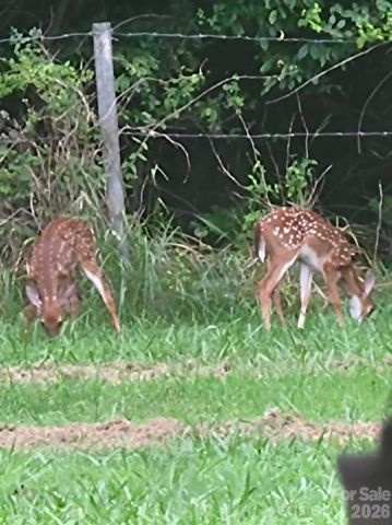 308 Frog Hollow Road, Rutherfordton, NC 28139