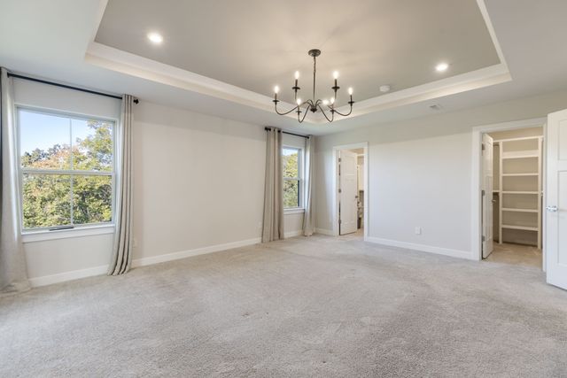 7245 Sky Meadow Dr, College Grove, TN 37046