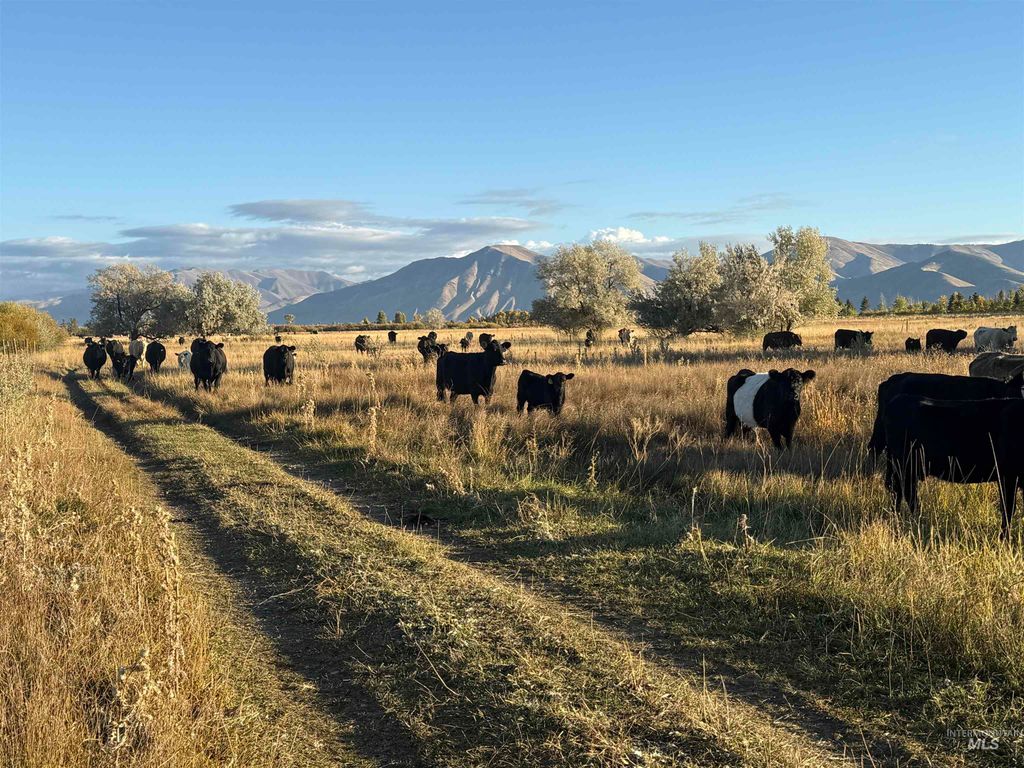 TBD Highway 20, Bellevue, ID 83313 photo 3