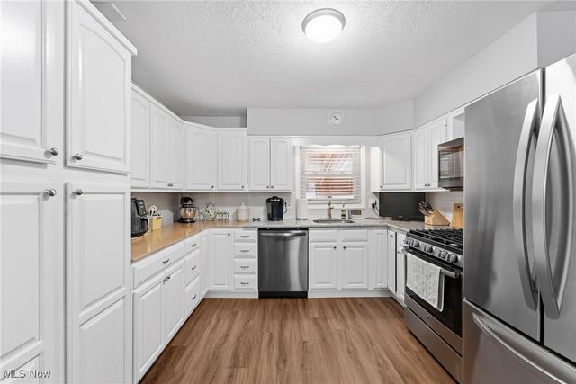 204 Normandy Drive, Painesville Twp, OH 44077