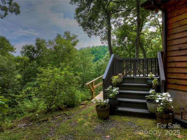 127 Whataview Drive, Whittier, NC 28789