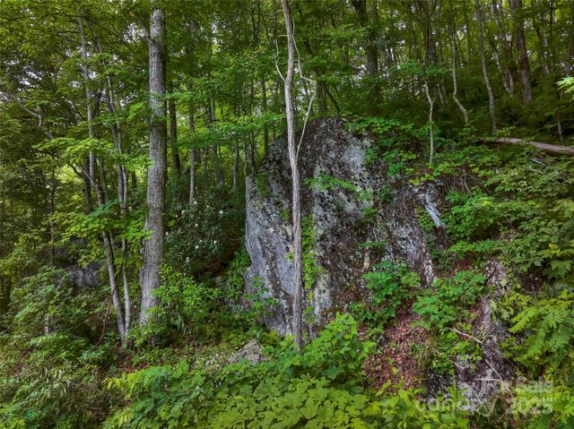 127 Whataview Drive, Whittier, NC 28789