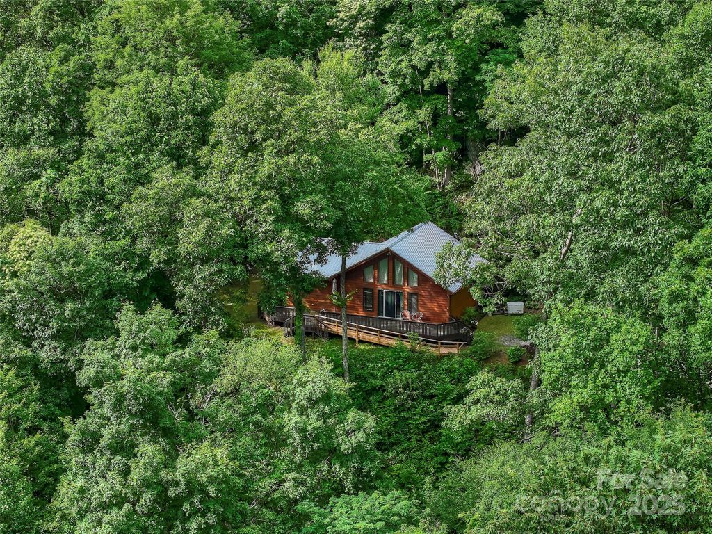 127 Whataview Drive, Whittier, NC 28789