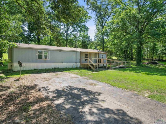 787 CR 2201, Daingerfield, TX 75638