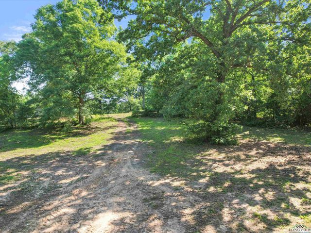 787 CR 2201, Daingerfield, TX 75638