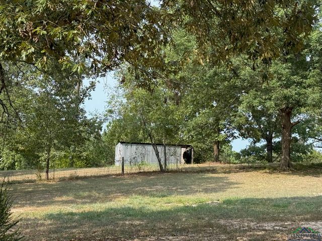 787 CR 2201, Daingerfield, TX 75638