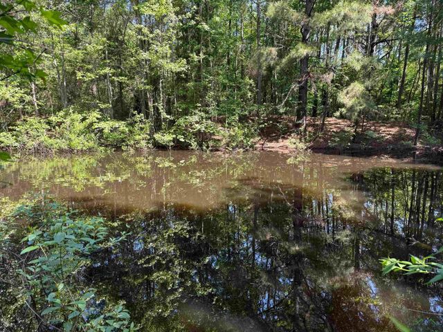 787 CR 2201, Daingerfield, TX 75638