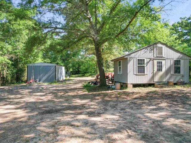 787 CR 2201, Daingerfield, TX 75638