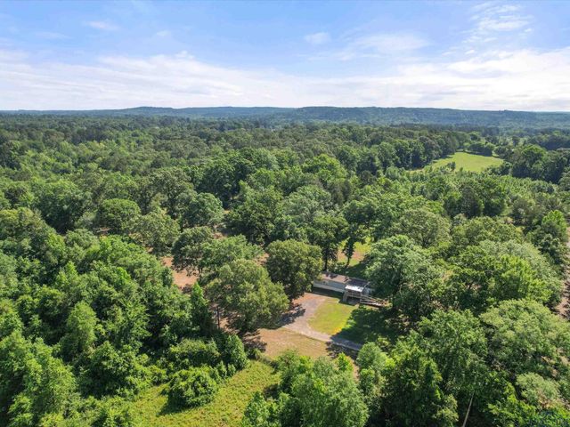 787 CR 2201, Daingerfield, TX 75638