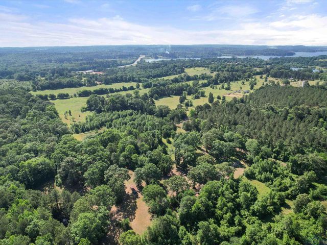 787 CR 2201, Daingerfield, TX 75638