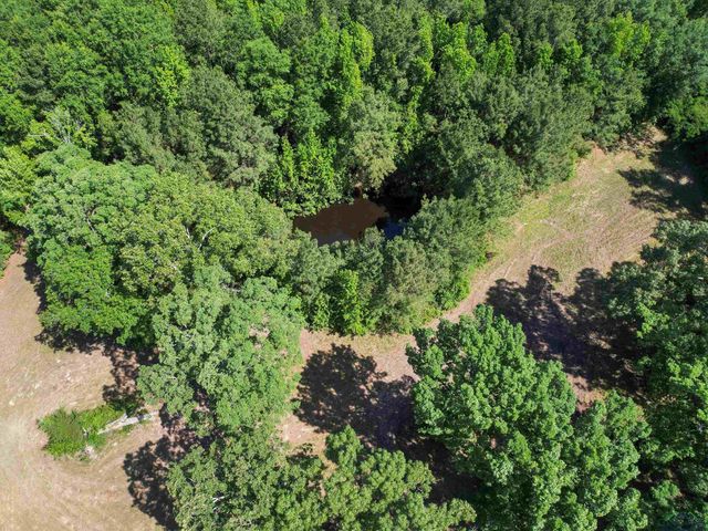 787 CR 2201, Daingerfield, TX 75638