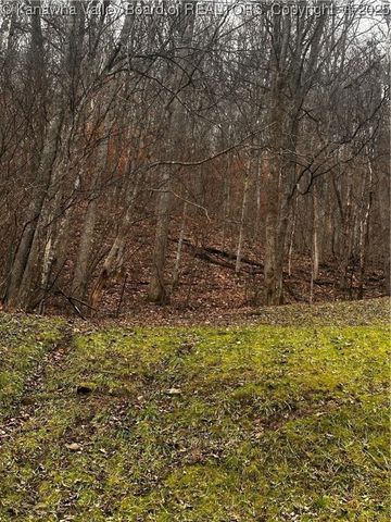 354 Mill Branch Road, Chapmanville, WV 25508