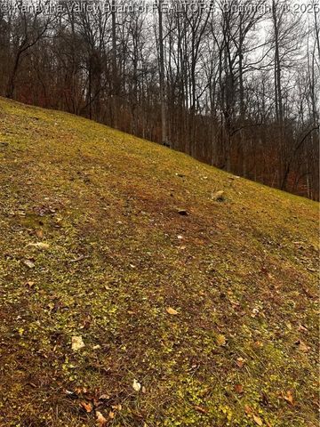 354 Mill Branch Road, Chapmanville, WV 25508