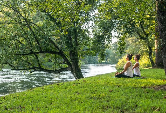 149 Hickory Way, Blue Ridge, GA 30513