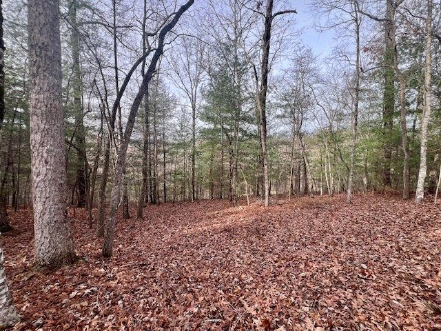 149 Hickory Way, Blue Ridge, GA 30513