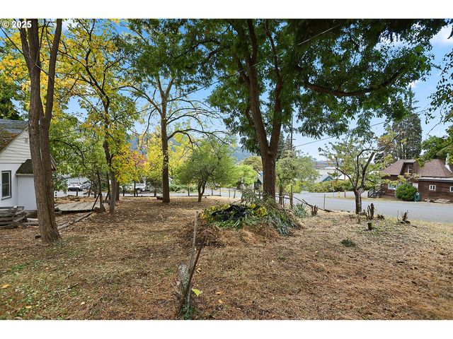 E Franklin St, Bingen, WA 98605