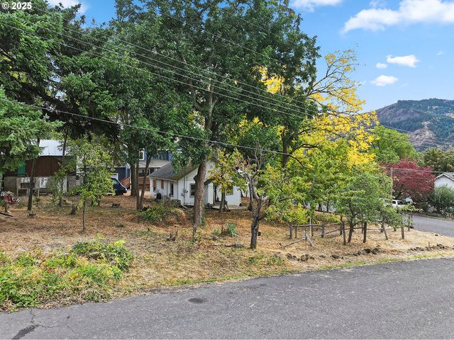 E Franklin St, Bingen, WA 98605