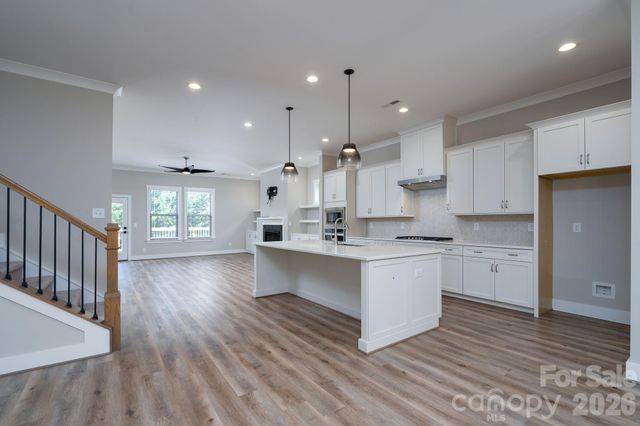 15132 Rocky Bluff Loop, Davidson, NC 28036