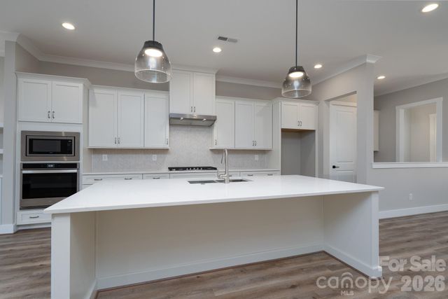 15132 Rocky Bluff Loop, Davidson, NC 28036