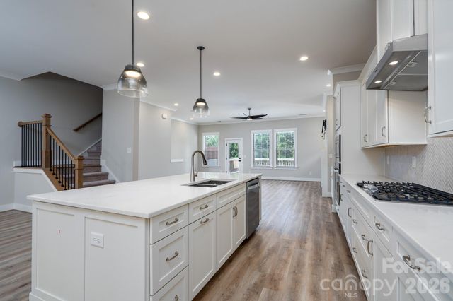 15132 Rocky Bluff Loop, Davidson, NC 28036