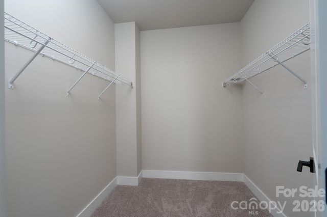 15132 Rocky Bluff Loop, Davidson, NC 28036