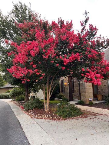 9550 Savannah Ridge DR 37, Austin, TX 78726