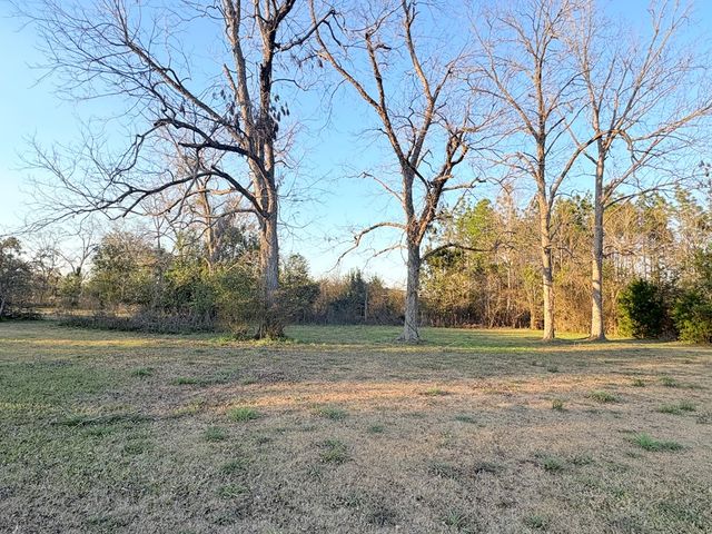 69 Granger Alley, Cottonwood, AL 36320
