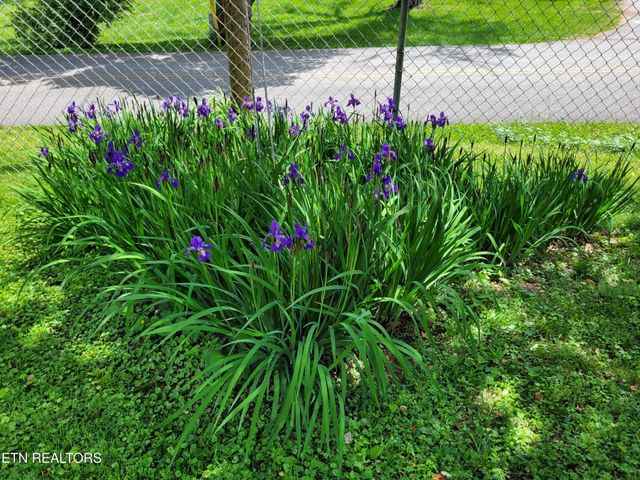 181 Little Johnson Valley Rd, Kingston, TN 37763