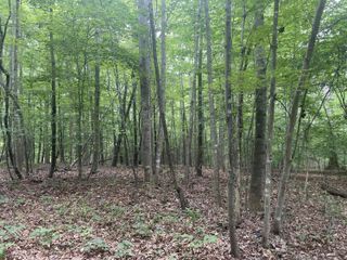 Lot 51 Silver PL, Moneta, VA 24121