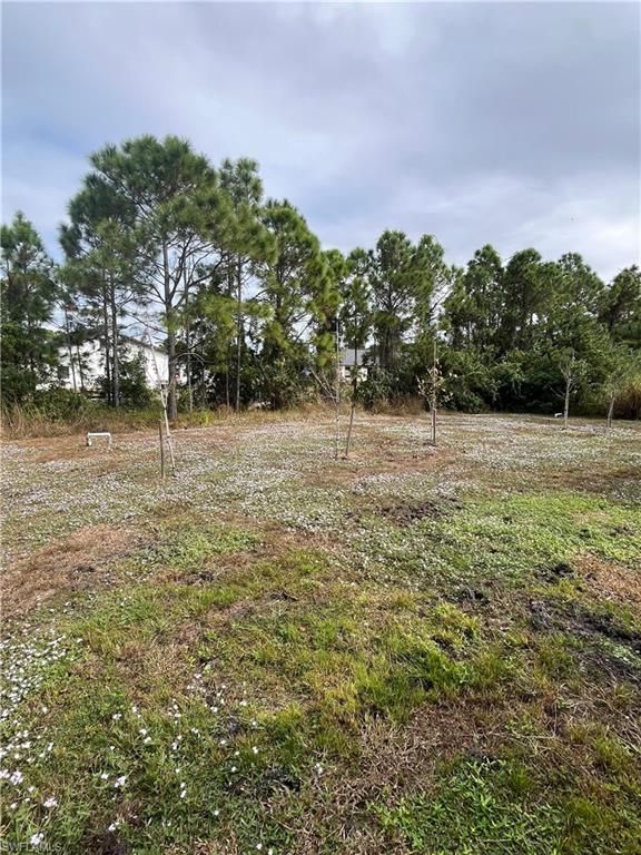 5336/5338 29th ST SW, LEHIGH ACRES, FL 33973 — photo 4