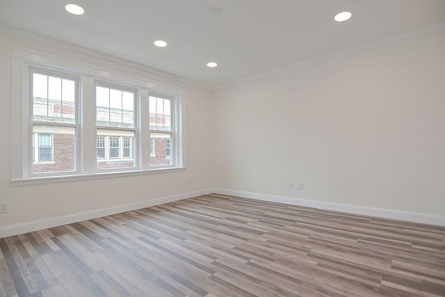 453 Washington 5, Brookline, MA 02446