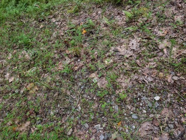 190 Valley Crest Drive, Blairsville, GA 30512