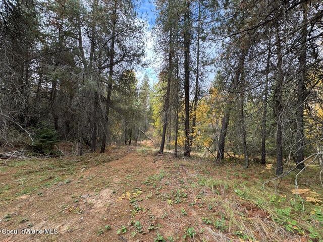 NKA Rascals Rd, Sandpoint, ID 83864 property photo