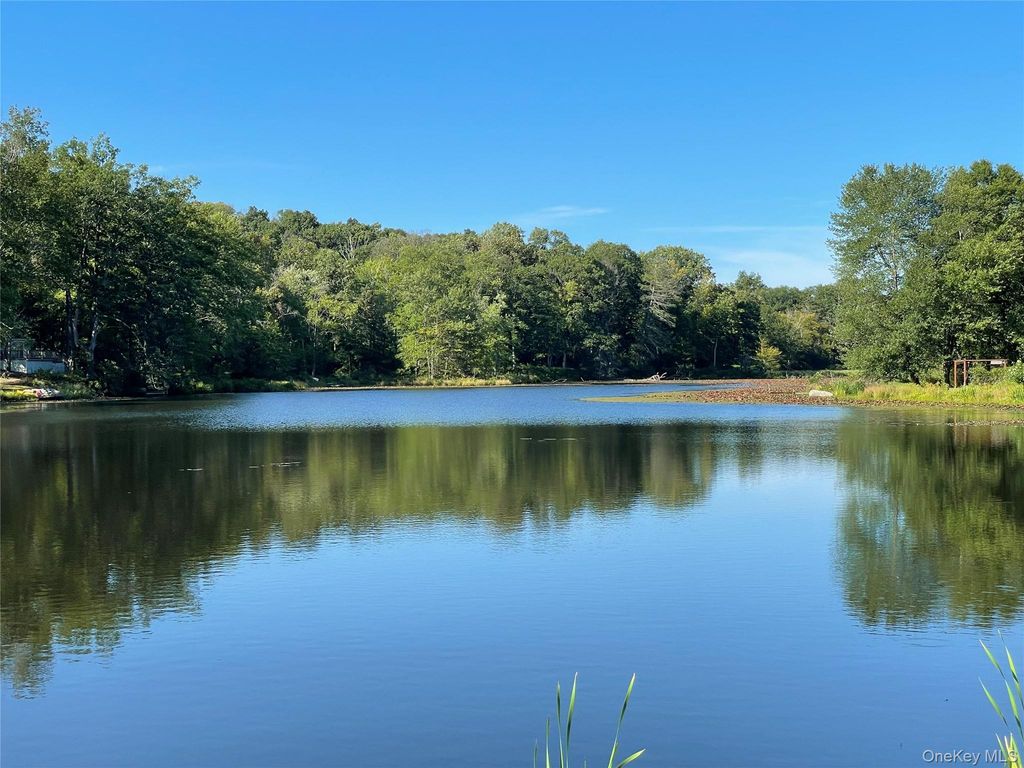 tbd Lake Shore Drive, Pine Bush, NY 12566