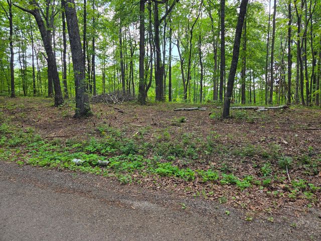 000 Ski View Drive, Dunlap, TN 37327