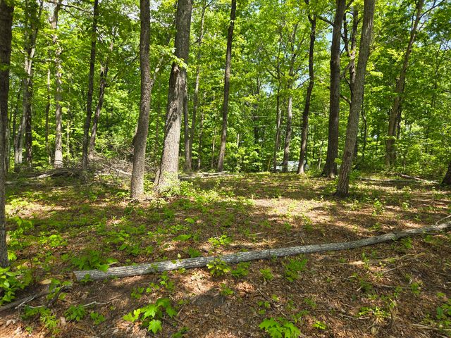 000 Ski View Drive, Dunlap, TN 37327