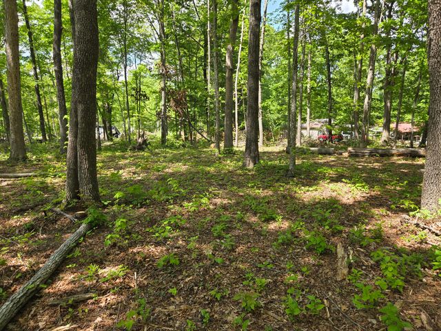 000 Ski View Drive, Dunlap, TN 37327