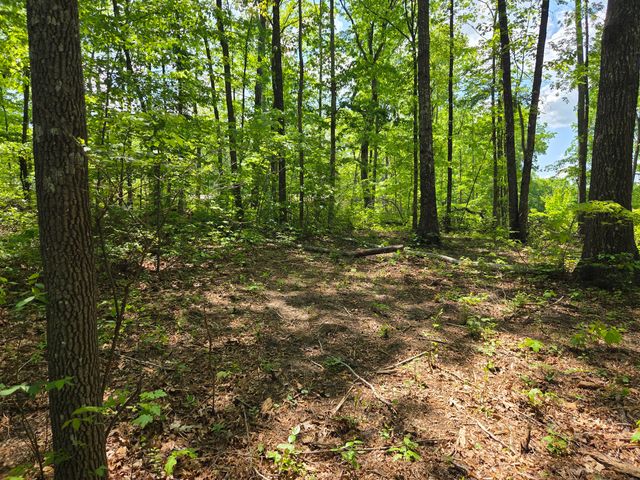000 Ski View Drive, Dunlap, TN 37327