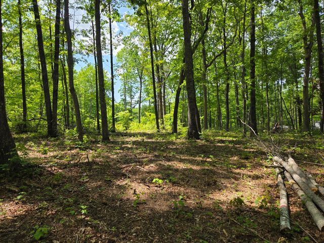 000 Ski View Drive, Dunlap, TN 37327