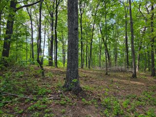 000 Ski View Drive, Dunlap, TN 37327