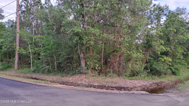 Avenue D, Bay Saint Louis, MS 39520