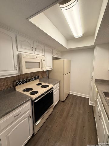 11843 Braesview Apt 1516, San Antonio, TX 78213