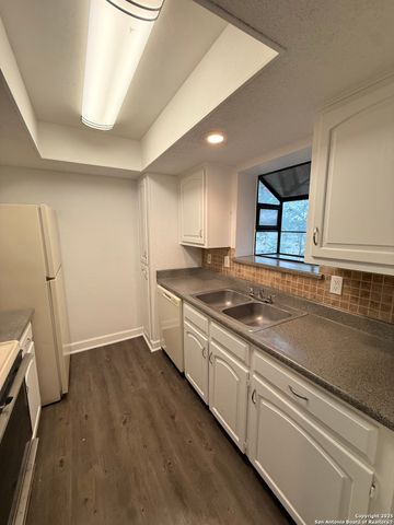 11843 Braesview Apt 1516, San Antonio, TX 78213