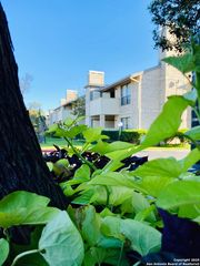 11843 Braesview Apt 1516, San Antonio, TX 78213