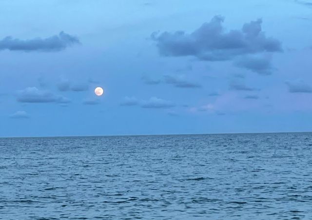 4629 Poinciana St Apt 211, Lauderdale By The Sea, FL 33308