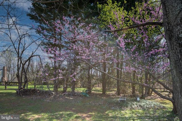 10752 BRIDLEREIN COURT, Spotsylvania, VA 22553